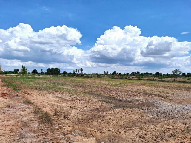 L1285 ขายที่ดิน 10 ไร่ โนนไทย นครราชสีมา