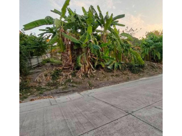 ขายที่ดินฝั่งทะเลอ่างศิลา 283 ตรว. ถนนมิตรสัมพันธ์ซอย4 ใกล้ถ.เสม็ด-อ่างศิลา3134-950เมตร เมืองชลบุรี