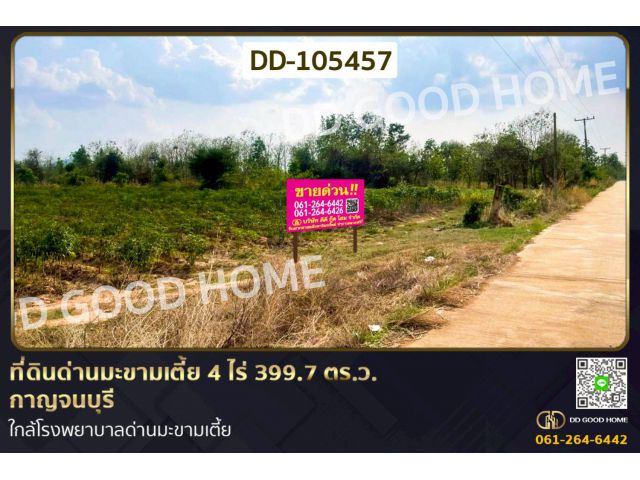 ที่ดินด่านมะขามเตี้ย 4 ไร่ 399.7 ตร.ว. กาญจนบุรี ใกล้โรงพยาบาลด่านมะขามเตี้ย DD-105457