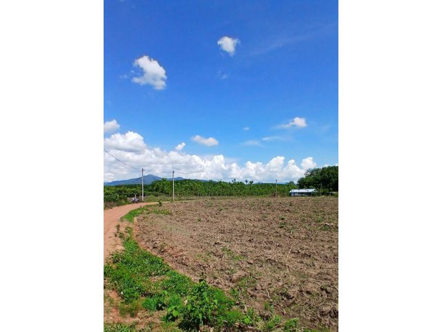 ขายที่ดินสวย อยู่ใกล้จากปั้มPT และ โรงพยาบาลภูซาง ห่างกัน 700เมตร