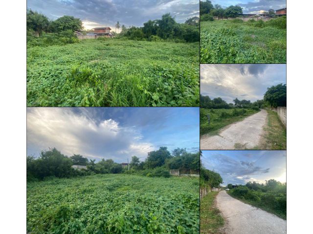 ที่ดิน209 ตรว.ท่าช้าง อุบล