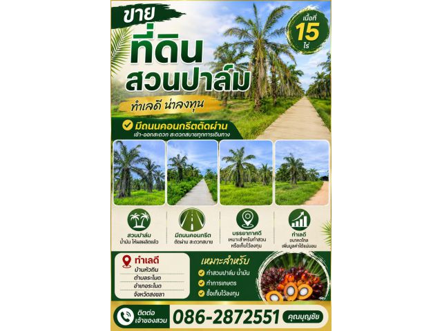 ขายสวนปาล์มน้ำมัน 15 ไร่ ทำเลดี อำเภอระโนด จังหวัดสงขลา