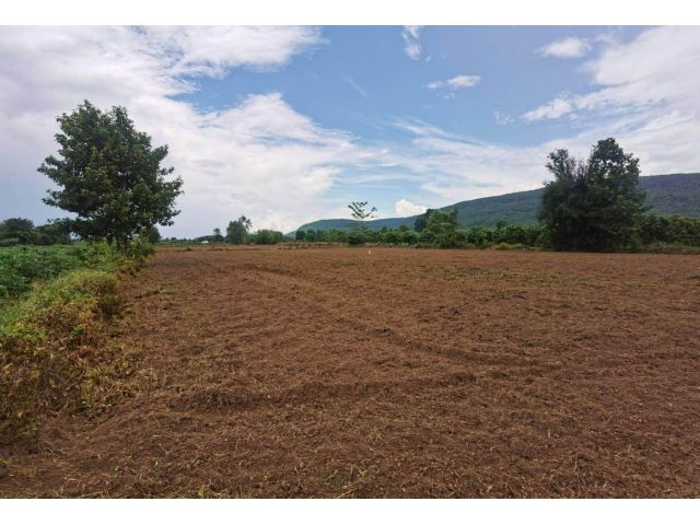 L1325 ขายที่ดินวิวภูเขา 9 ไร่ วังทอง พิษณุโลก