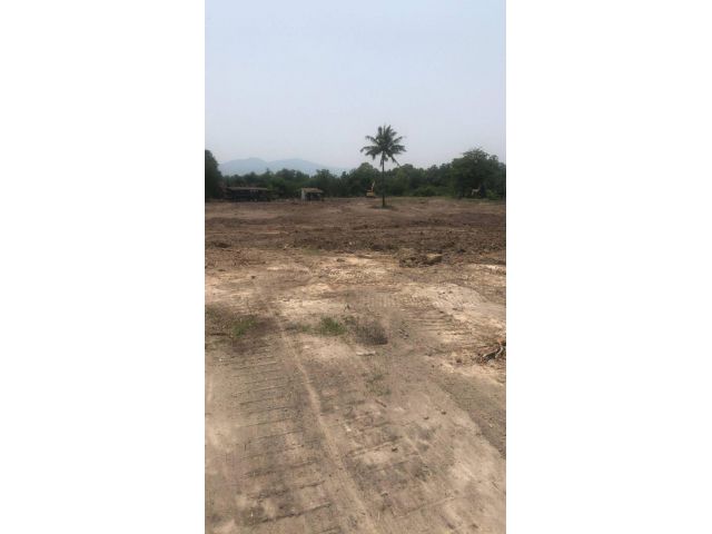 L1332 ขายที่ดิน 9 ไร่ บ้านบึง ชลบุรี