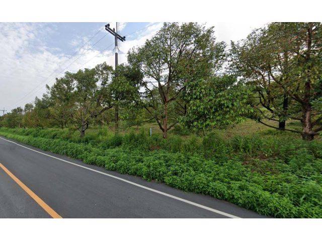 ขายสวนทุเรียน 1,200 ต้น พื้นที่ 56 ไร่ ต.ทุ่งนนทรี อ.เขาสมิง จ.ตราด