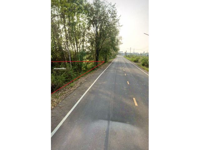 ขายที่ดินแปลงสวย 6 ไร่ ทำเลดี วิวภูเขา ใกล้ถนนหมายเลข 11 (วังทอง-พิจิตร) ปากทางเข้าวัดซำเตย อำเภอวังทอง จังหวัดพิษณุโลก