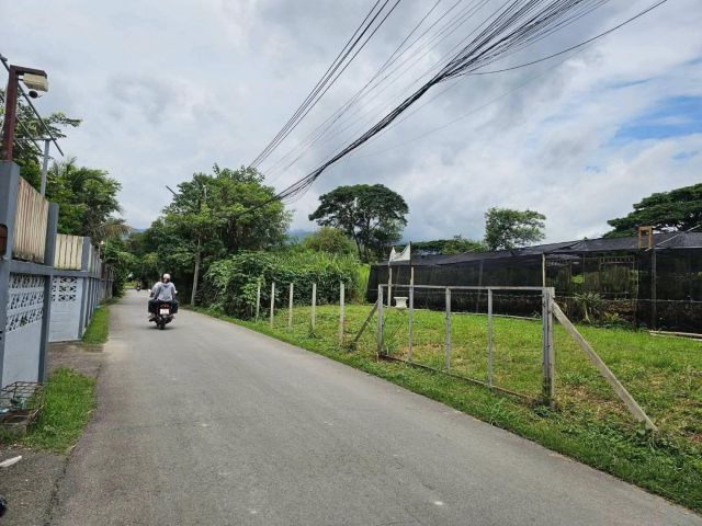 ขายที่ดินตำบลดอนแก้วแม่ริมใกล้ศูนย์ราชการเชียงใหม่