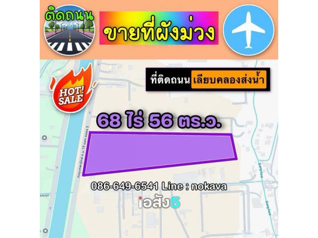 ลดราคา ที่ผังม่วงแปลงใหญ่ติดถนน 68 ไร่ ถนน เลียบคลองส่งน้ำสุวรรณภูมิ