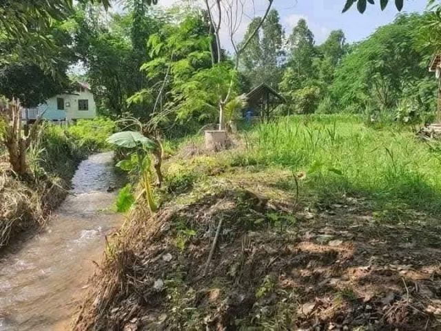ขายที่ดินติดลำธารน้ำไหลผ่านบ้านถ้ำเชียงดาวพร้อมโอน