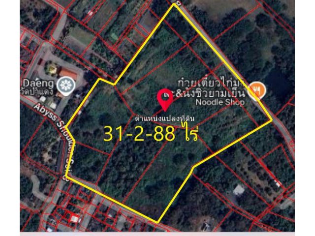 L566-ขายที่ดินผังเหลือง 31ไร่ครึ่ง เชียงใหม่ สันกำแพง ห้วยทราย
