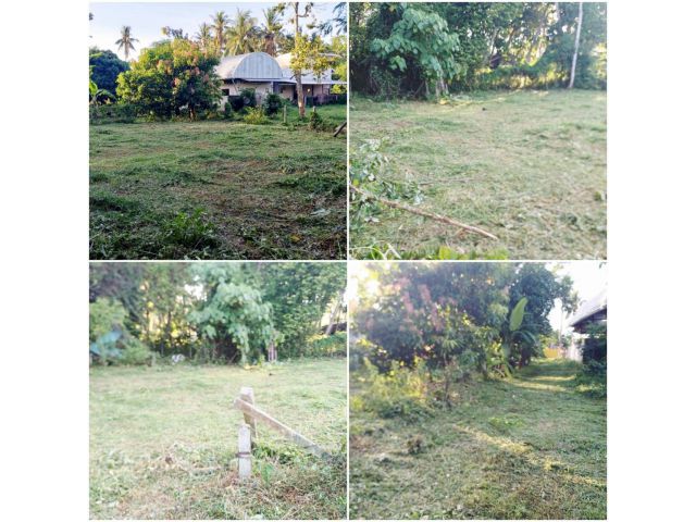 ขายที่ดินทุ่งหวัง 60 ตรว.