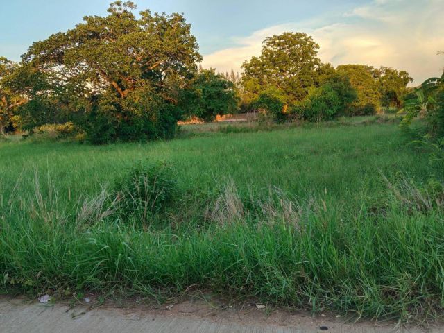 เดินทางสะดวกติดกับหมู่บ้านจัดสรร ใกล้โรงเรียนบ้านเด็กดี2,ใกล้วิลัยเทคนิคชัยภูมิ