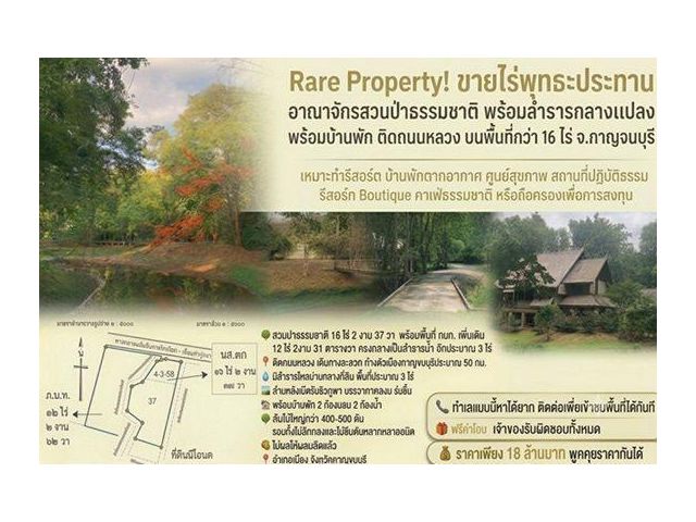 Rare Property! ขายไร่พุทธะประทาน อาณาจักรสวนป่าธรรมชาติ พร้อมลำธารกลางแปลง ต้นไม้ใหญ่ทั้งสวน วิวภูเขาด้านหลัง พร้อมบ้