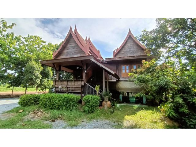 ขายบ้านไม้ทรงไทย 3 หลัง พร้อมที่ดินแปลงสวย(โฉนด) เนื้อที่ 2 ไร่ อำเภอเมือง นครราชสีมา