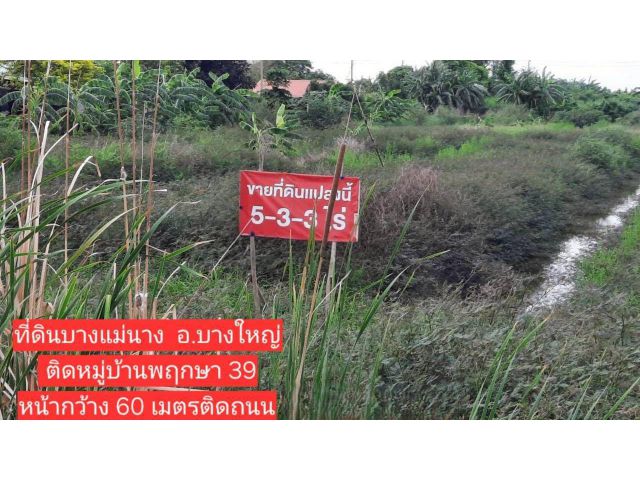 ขายที่ดินเปล่า ต.บางแม่นาง อบางใหญ่ จ.นนทบุรี