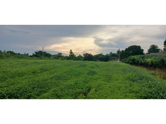 L1346 ขายที่ดินวิวภูเขา 2 แปลง ใกล้ถนนมิตรภาพ ปากช่อง นครราชสีมา