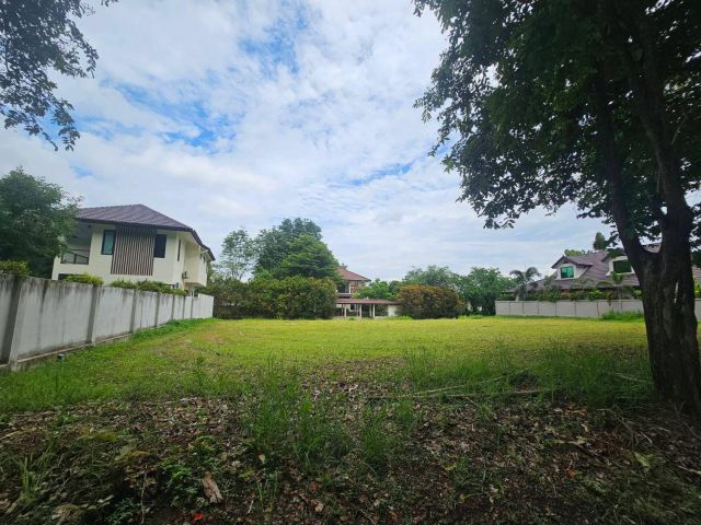 ขายที่ดินดอยสะเก็ด เนื้อที่ 143 ตร.ว. ในโครงการ ที่ถมแล้ว พร้อมสร้างบ้าน ด้านหลังติดเลค