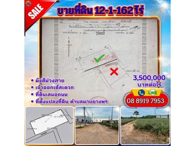 12 ไร่ มาบยางพร (ม่วงลาย)