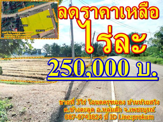 ขายที่ 3 ไร่ติดถนนลาดยาง