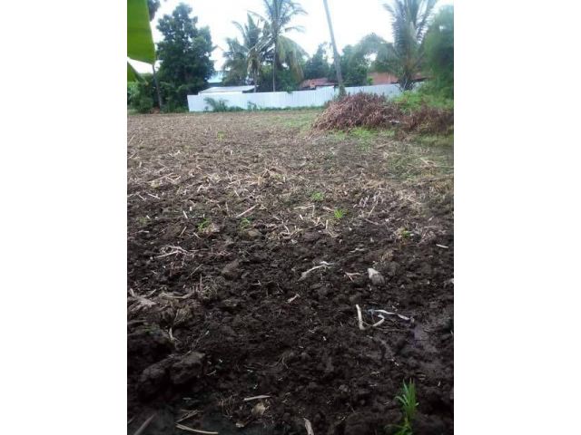 L1349 ขายที่ดินติดถนนเลียบคลอง 259 ตรว เมืองเพชรบูรณ์
