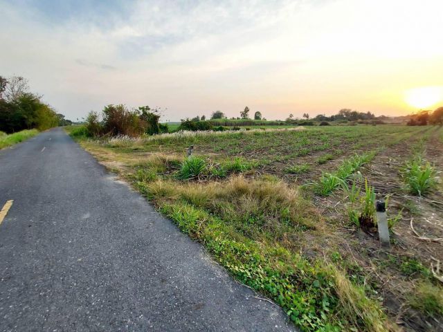 L1350 ขายที่ดิน 5 ไร่ ใกล้ถนน.3284 บ้านบึง ชลบุรี