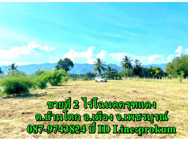ขายที่ 2 ไร่ ต