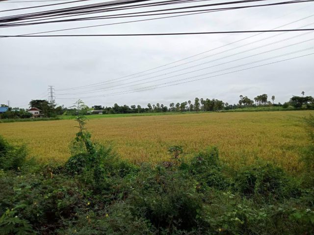 L1357 ขายที่ดิน 7 ไร่ ติดถนนเพชรเกษม เมืองเพชรบุรี