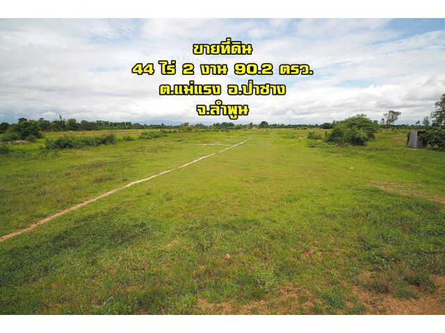 ขายที่ดินลำพูน ขายที่ดินป่าซาง ผืนใหญ่ 44 ไร่ 2 งาน 90.2 ตรว.
