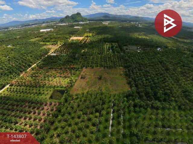 ขายที่ดิน เนื้อที่ 7 ไร่ 20 ตร.วา หลังสวน ชุมพร