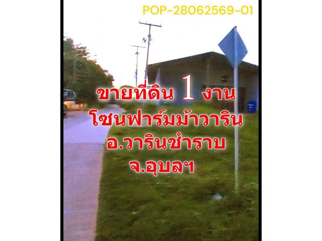 POP-28062569-01 ขายที่ดิน 1 งาน โซนฟาร์มม้าวาริน อ.วารินชำราบ จ.อุบลฯ