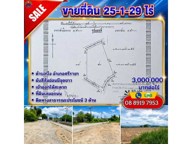 ขาย 25-1-29 ไร่ (ตำบลบึง)