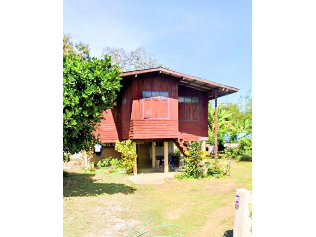 บ้านพร้อมที่ดิน ราคาถูก เชียงกลาง ร่าน