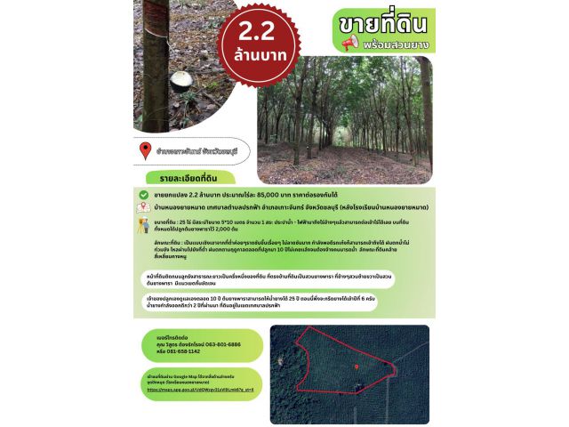 ขายที่สวนยางพารา 25 ไร่ พร้อมต้นยาง อายุ 12 ปี อ.เกาะจันทร์ จ. ชลบุรี