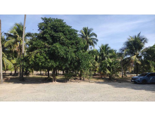 L1362 ขายที่ดิน 6 ไร่ บ้านบึง ชลบุรี