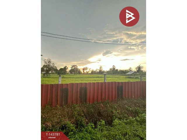 ขายด่วนที่นาแปลงสวย เดชอุดม อุบลราชธานี