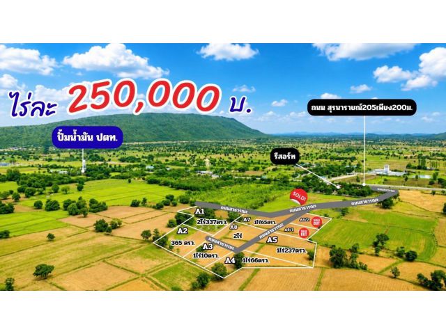 ที่ดิน หนองม่วง โคกสำโรง ลพบุรี