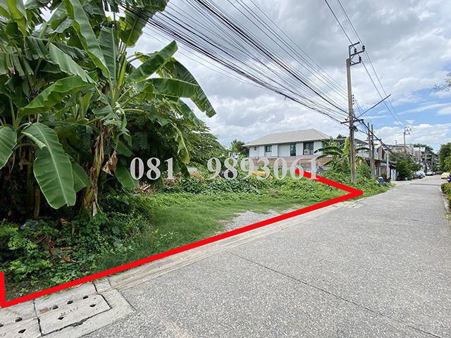 ขายที่ดินถมแล้ว 227.5 ตรว. แปลงสี่เหลี่ยมผืนผ้า ซ.ภาวนา 41 แยก 12