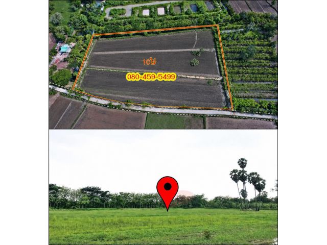 ***ขายที่ดิน10ไร่ ติดถนนที่เหมาะอยู่อาศัย อ.สูงเนิน จ.นครราชสีมา***