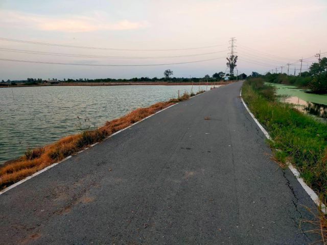 ขายที่ดิน นากุ้ง 250-ไร่ไร่ละ380000-ติดถนนลาดยาง+คลอง อ.บางเลน จ.นครปฐม.ใก้ลถนน346/3231/321ขายถูกสุดๆ