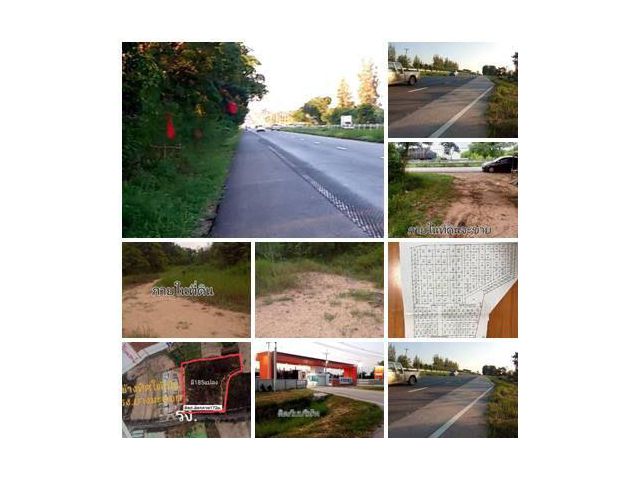ขายที่ดิน 43 ไร่ ติดถนนมิตรภาพ บ้านไผ่ขอนแก่น ที่ดินจัดสรรแบ่งแปลงพร้อมขาย ขายยกโครงการ ขายถูกมาก