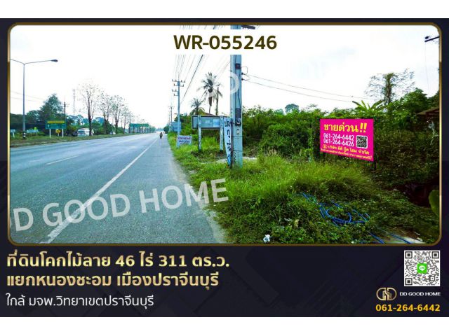 ที่ดินโคกไม้ลาย 46 ไร่ 311 ตร.ว. แยกหนองชะอม เมืองปราจีนบุรี ใกล้ มจพ.วิทยาเขตปราจีนบุรี WR-055246