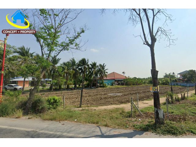 ขายที่ดิน 1ไร่ ติดทางหลวงชนบท ดอนตูม นครปฐม