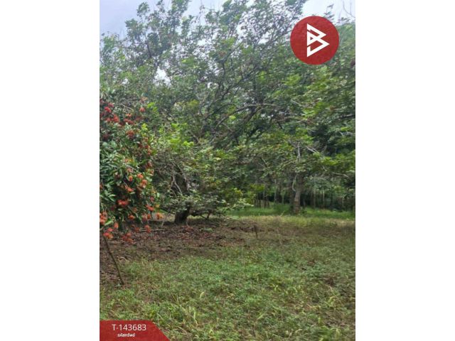 ขายที่ดินพร้อมสวน เนื้อที่ 14 ไร่ 1 งาน 55.6 ตร.วา นายายอาม จันทบุรี