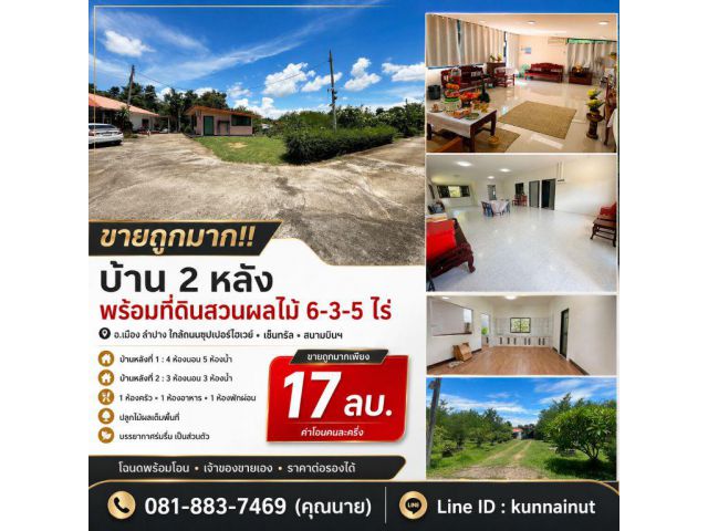 ขายถูกมาก!! บ้าน 2 หลัง พร้อมที่ดินสวนผลไม้ 6-3-5 ไร่ อ.เมือง ลำปาง ใกล้ถนนซุปเปอร์ไฮเวย์ เซ็นทรัล สนามบินฯ