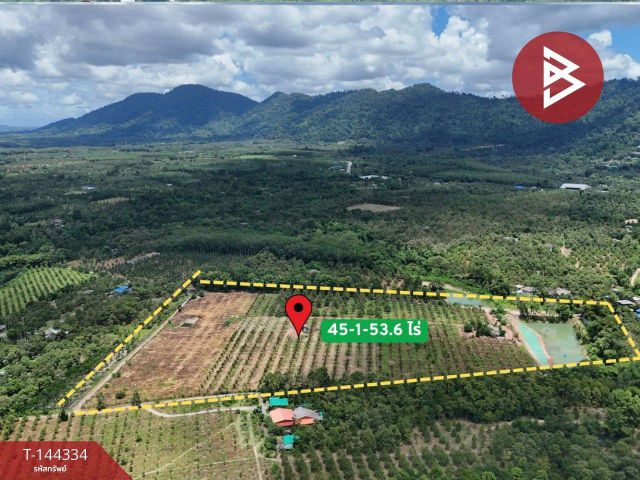 ขายที่ดินพร้อมสวน เนื้อที่ 45 ไร่ 1 งาน 53.6 ตร.วา ท่าใหม่ จันทบุรี