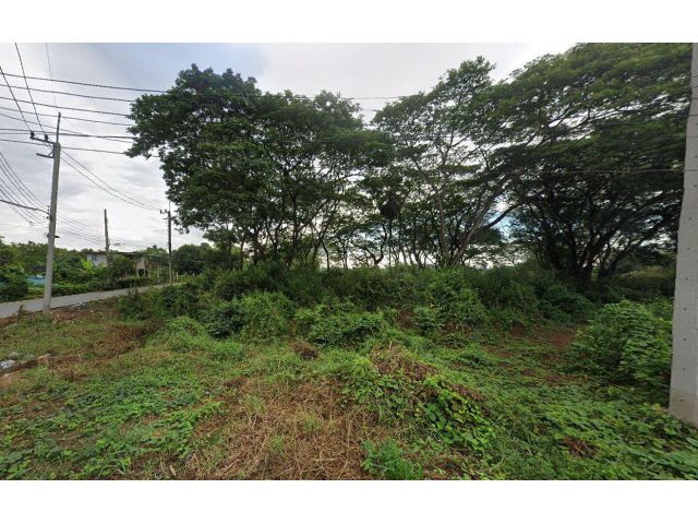 L1386 ขายที่ดิน 2 ไร่ พรหมบุรี สิงห์บุรี