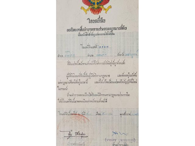 ขายที่นา 12 ไร่ 3 งาน