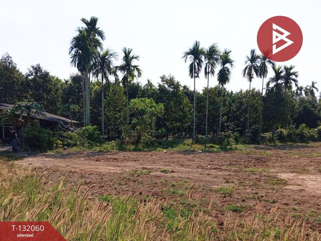 ขายที่ดิน เนื้อที่ 4 ไร่ 2 งาน 49 ตร.วา ท่าใหม่ จันทบุรี