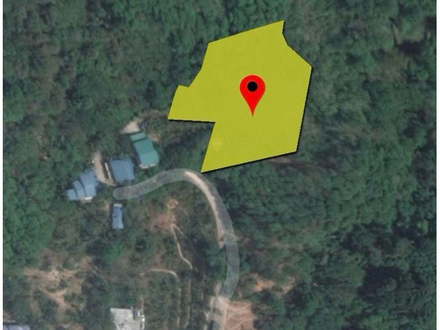 PK989ขายที่ดินป่าตองซีวิว ด่วน (Patong Phuket Seaview land sales)