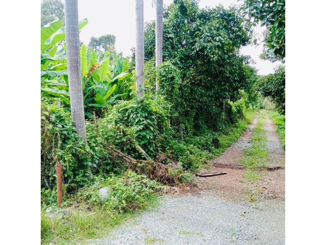L1397 ขายที่ดิน 3 ไร่ เมืองระยอง